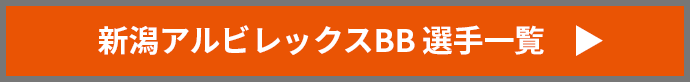 新潟アルビレックスBB　選手一覧