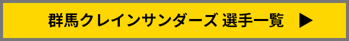 群馬クレインサンダーズ　選手一覧