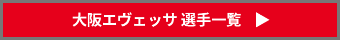 大阪エヴェッサ　選手一覧