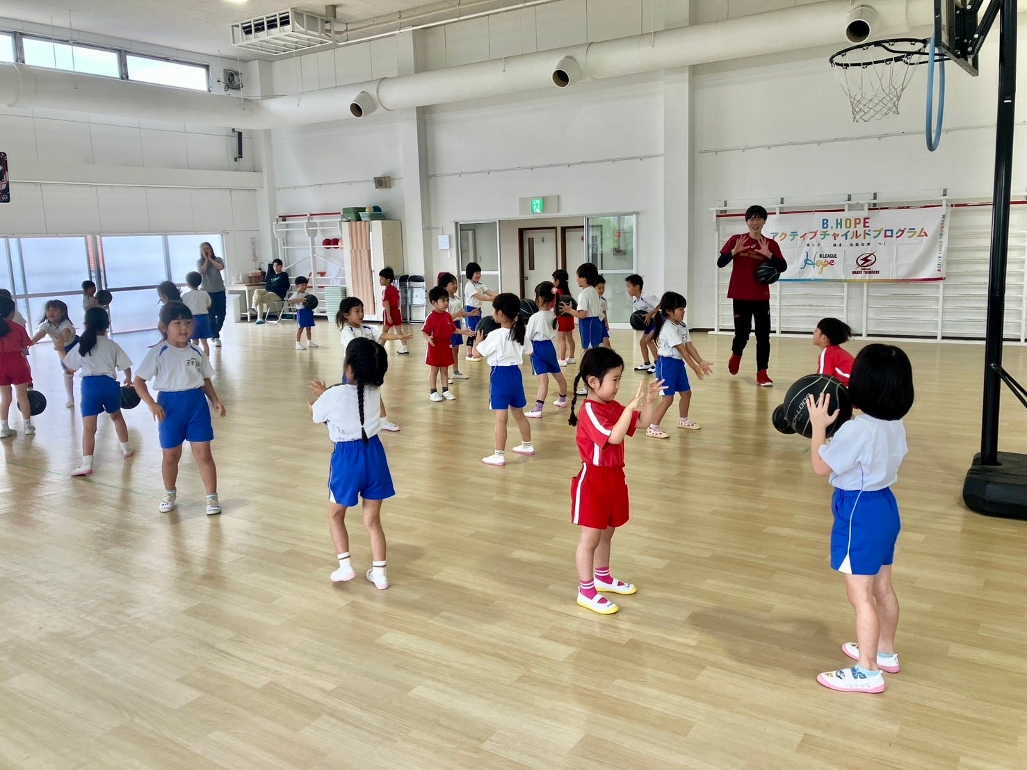 ALC ACADEMY
