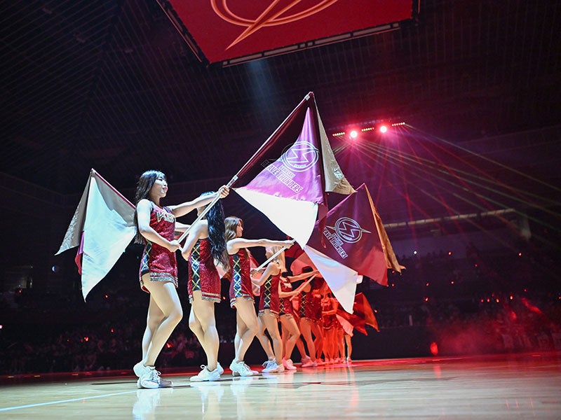 試合会場での応援、パフォーマンス