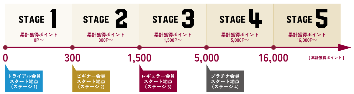 ステージ制